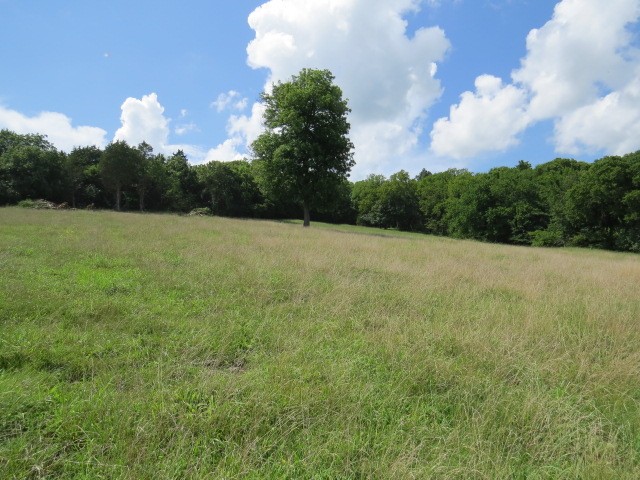 0 Shaw Road Cornersville, TN 37047 - Photo 9 of 33