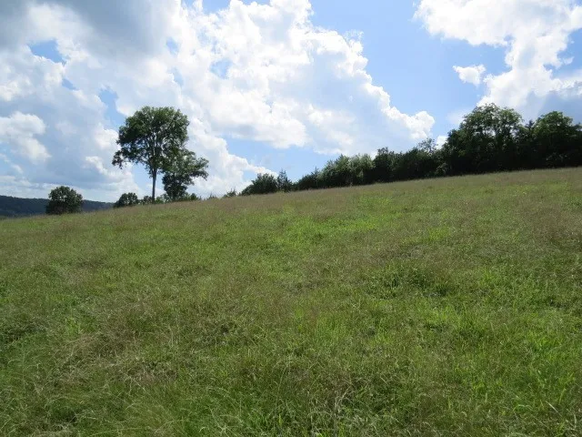 $219,900 | 0 Shaw Road, Cornersville, TN 37047