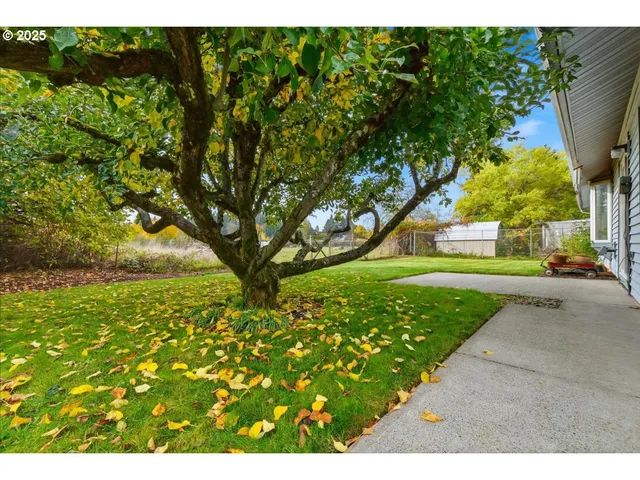 a view of a garden with an outdoor space