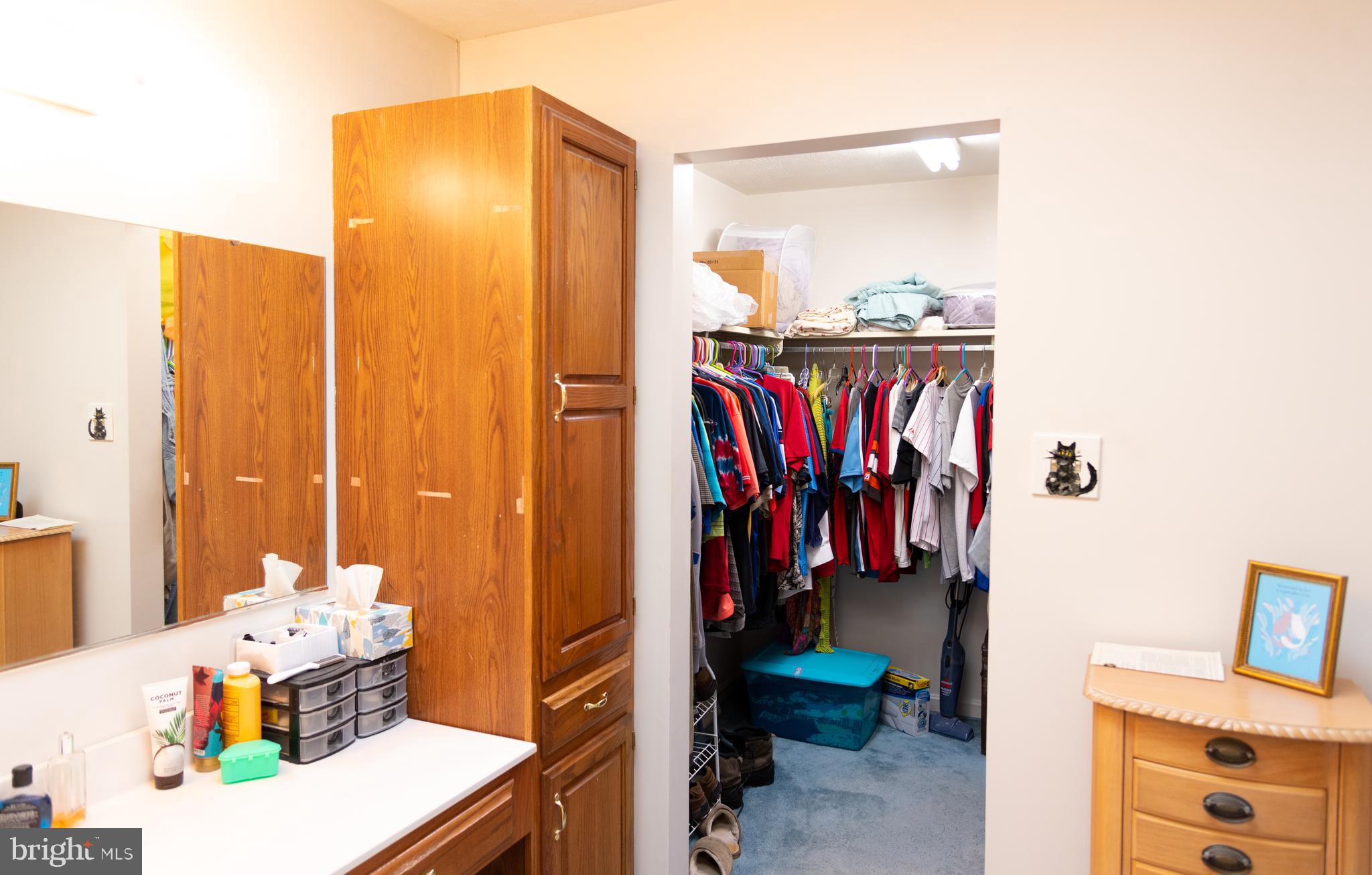 10 Partridge Court Hanover, PA 17331 - Photo 22 of 44 Primary Walk-in Closet off Bath