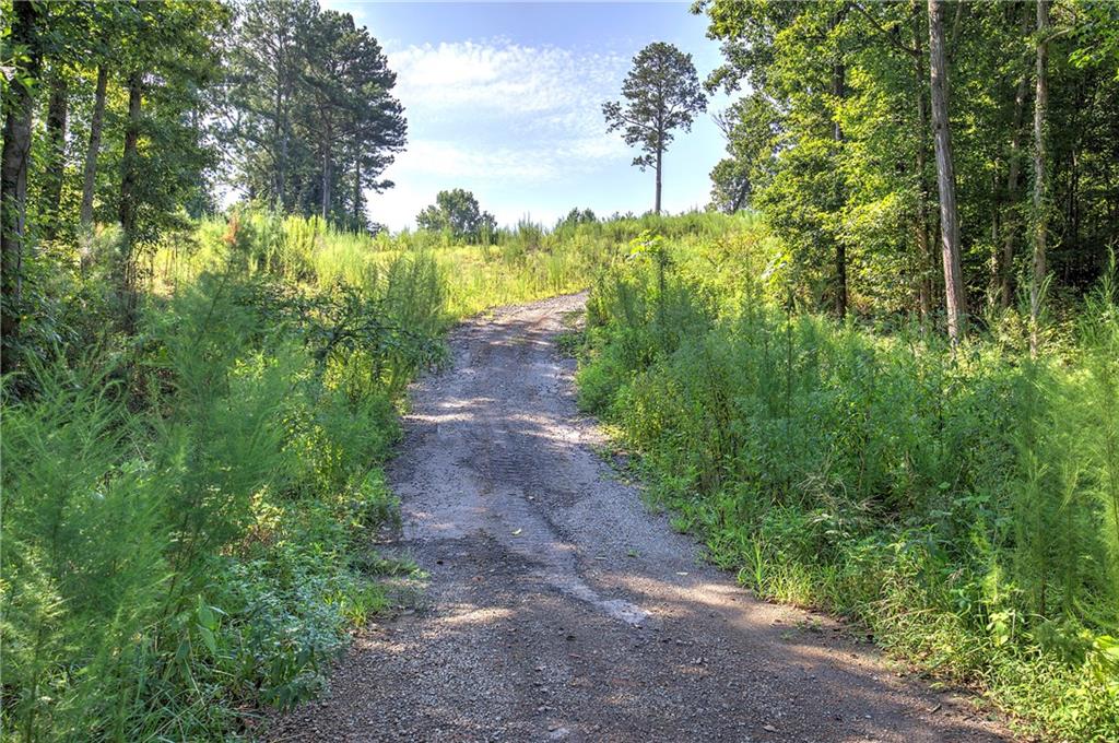 0 Pearl Johnson Road Ranger, GA 30734 - Photo 12 of 36 Gallery Image 12