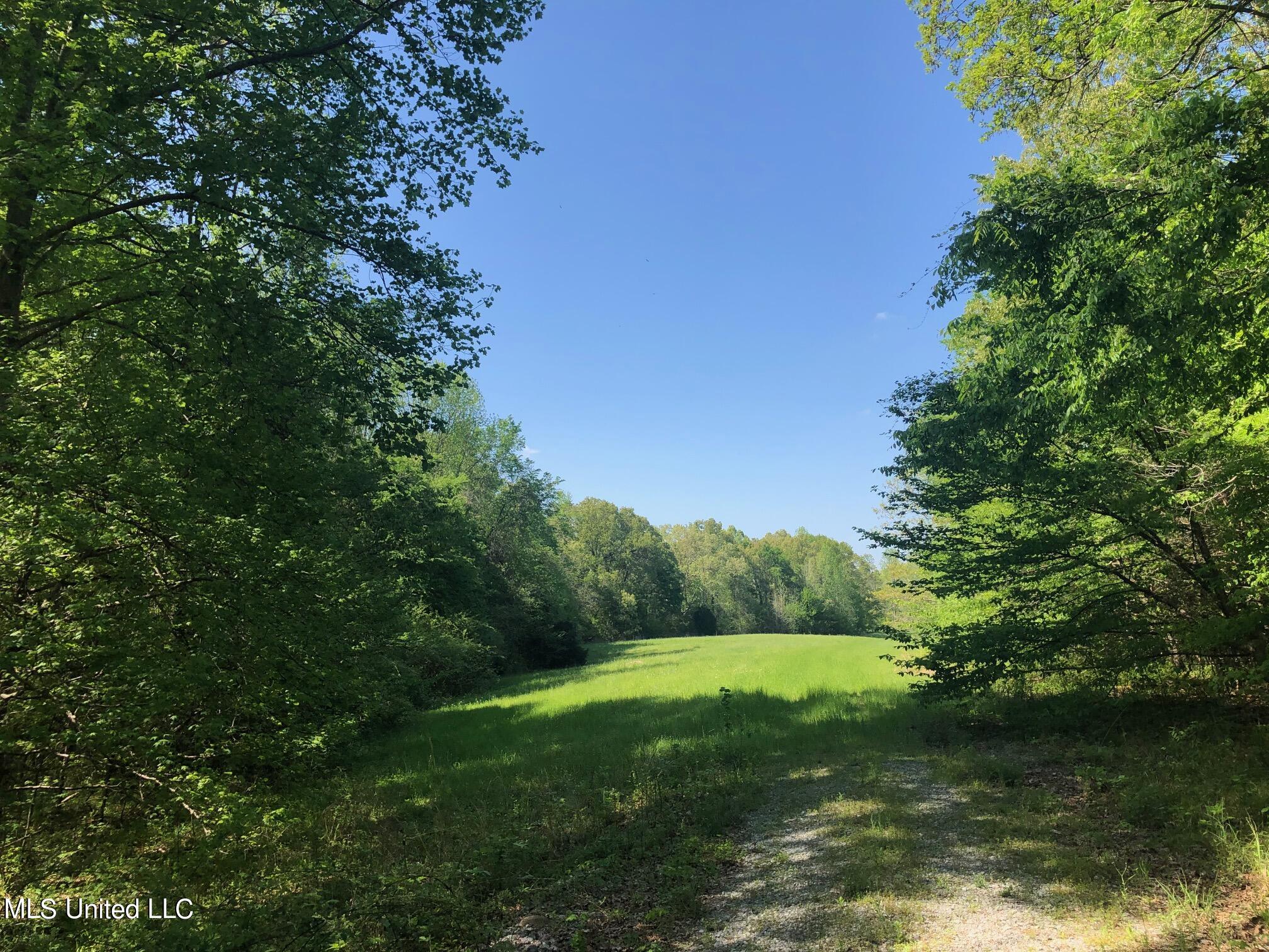 60.17-ac Whitten Road Courtland, MS 38620 - Photo 1 of 1 Land
