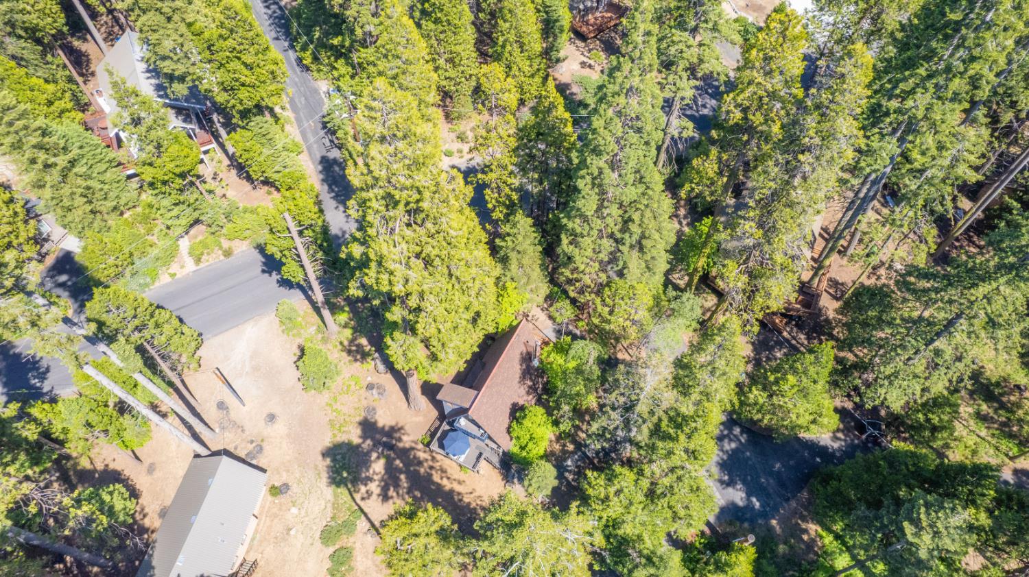 42312 Hanging Branch Road Shaver Lake, CA 93664 - Photo 40 of 43