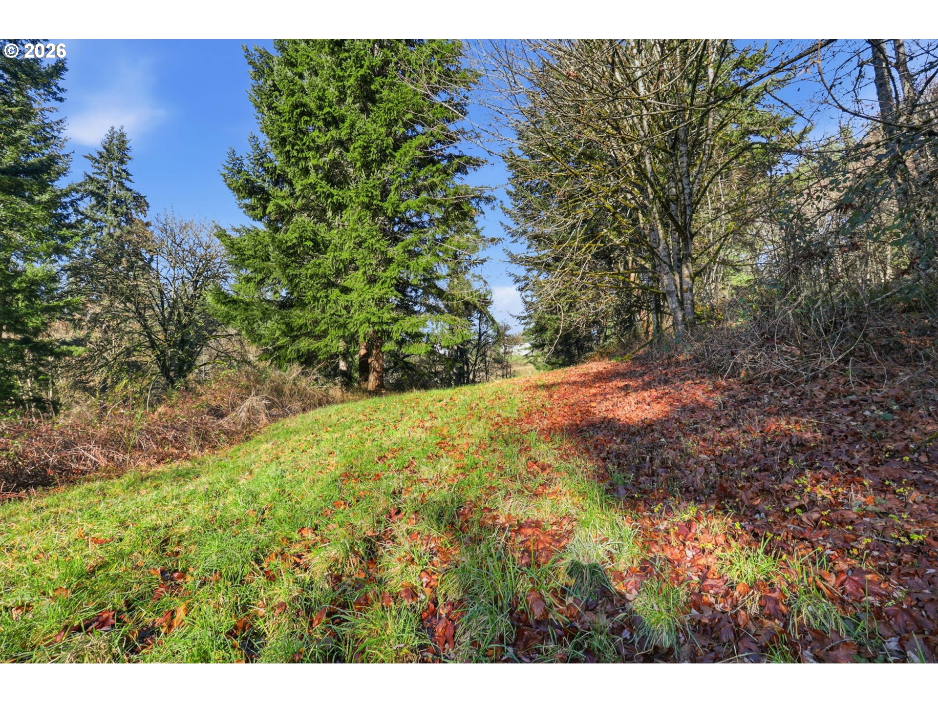 0 Feather Ridge Drive Kalama, WA 98625 - Photo 11 of 19