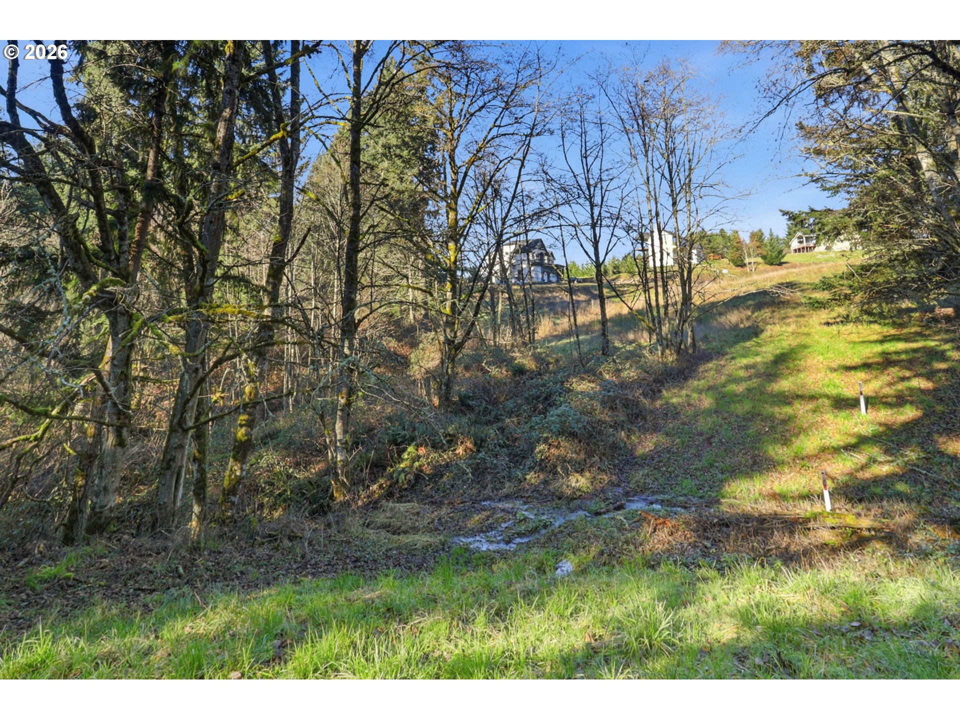 0 Feather Ridge Drive Kalama, WA 98625 - Photo 13 of 19