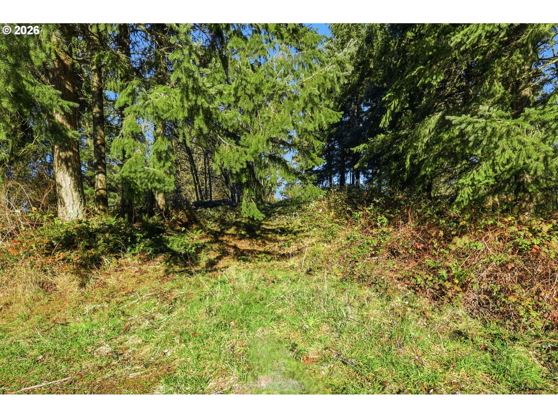 0 Feather Ridge Drive Kalama, WA 98625 - Photo 9 of 19