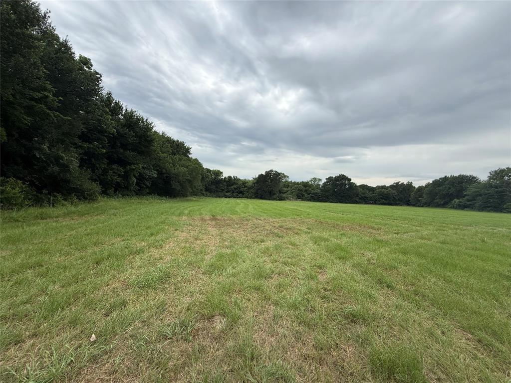 313 Co Road Terrell, TX 75161 - Photo 3 of 7 Expansive land parcel featuring open fields and mature perimeter trees