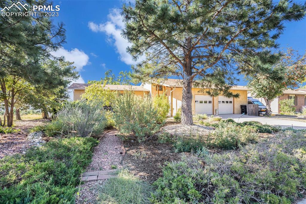 1711 Columbine Road Colorado Springs, CO 80907 - Photo 50 of 50 a view of a yard with plants and trees