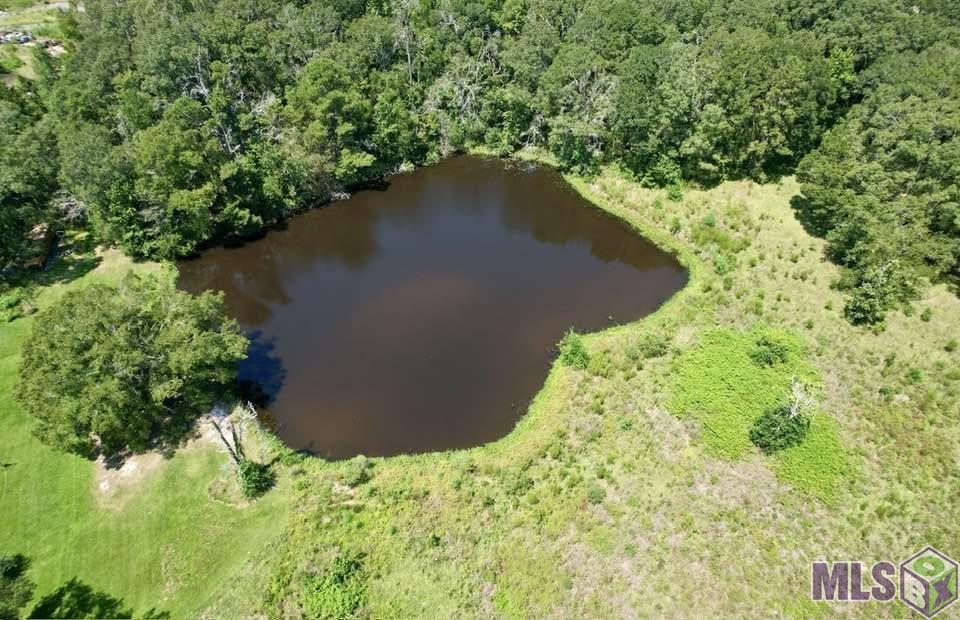 9001 Springfield Road Denham Springs, LA 70706 - Photo 18 of 21