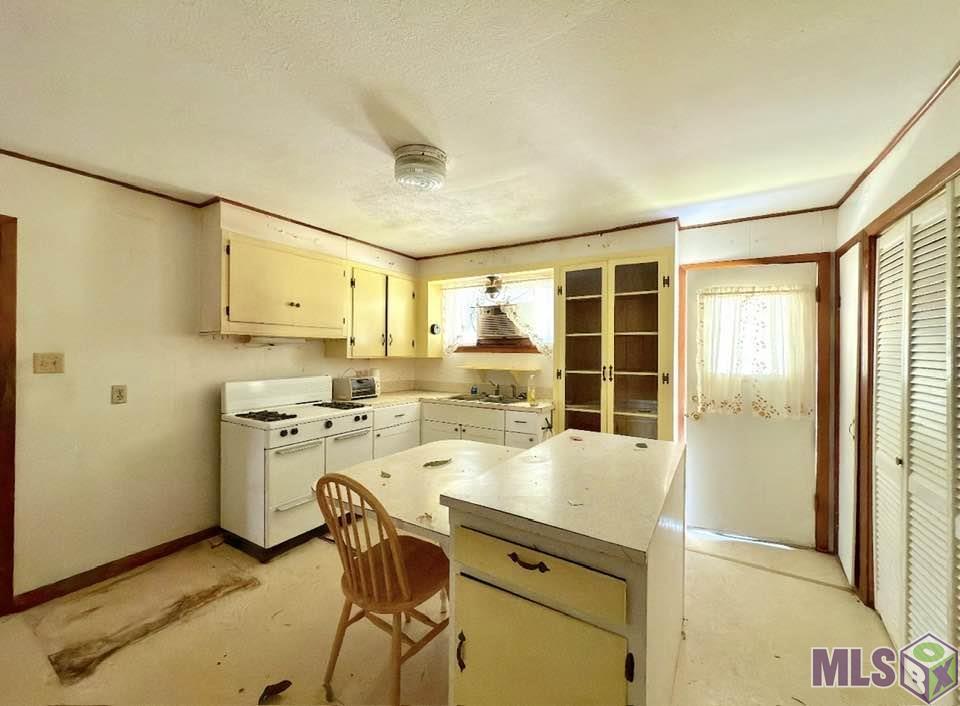 9001 Springfield Road Denham Springs, LA 70706 - Photo 4 of 21