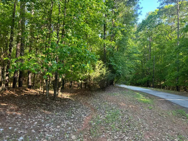 $200,000 | 0 Ridge Road, Appling, GA 30802