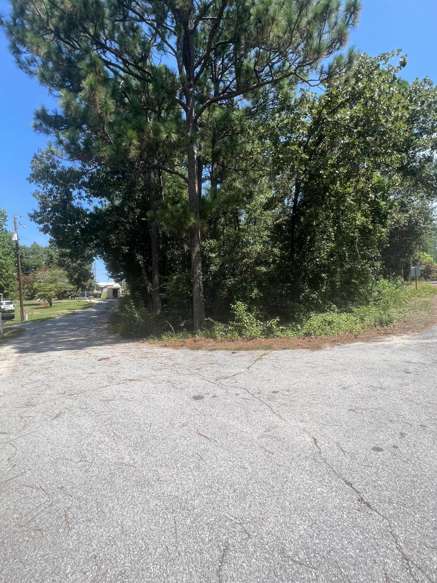 0 Emanuel Church Road Lexington, SC 29073 - Photo 6 of 6