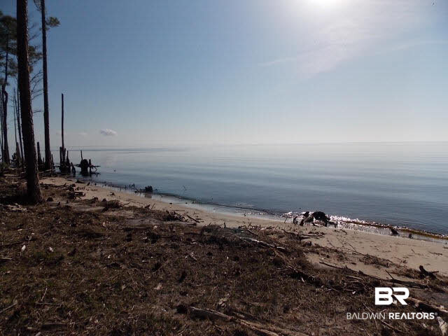 9094 Bay Road Magnolia Springs, AL 36555 - Photo 8 of 27 THE VIEW