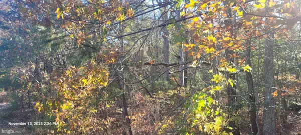 a backyard of a house with lots of trees