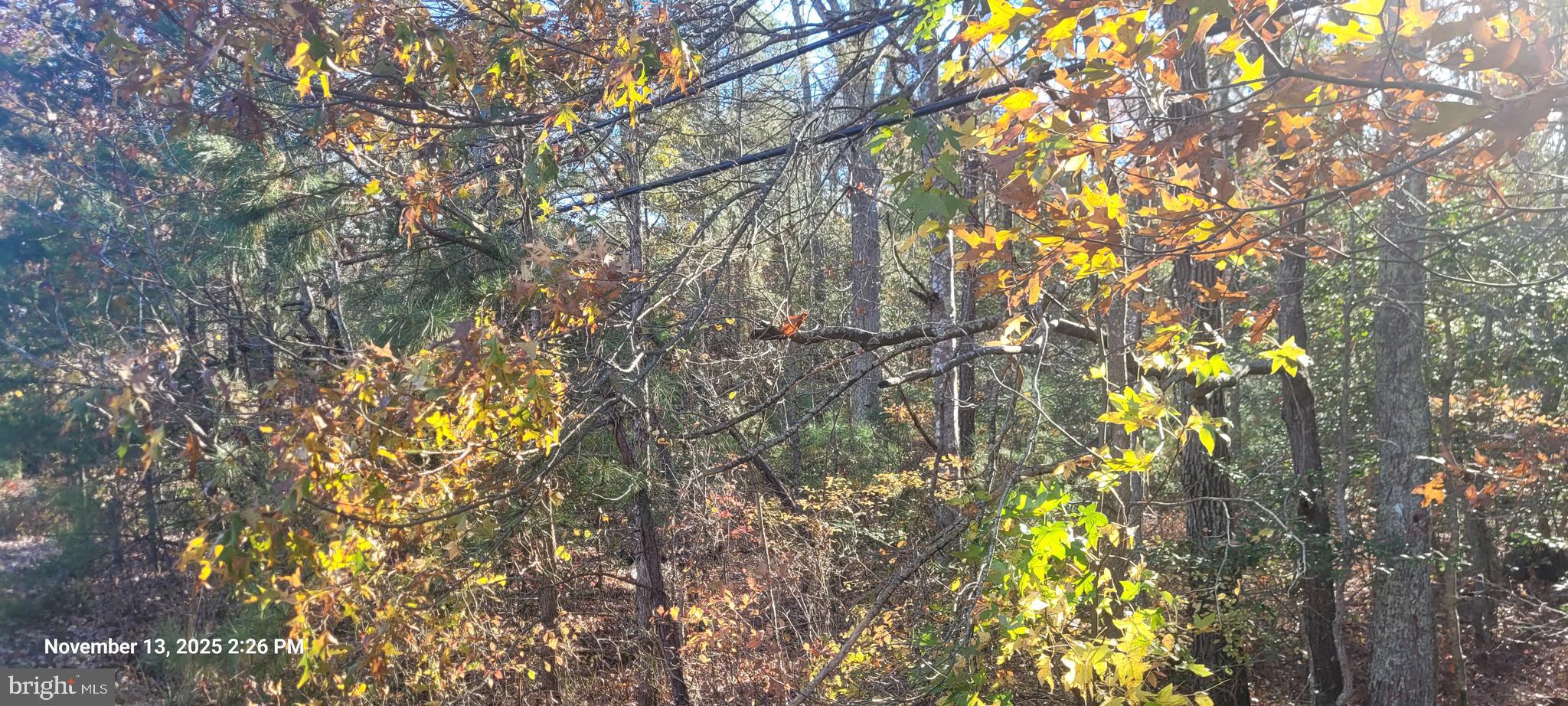 Rock Point Newburg, MD 20664 - Photo 5 of 8 a backyard of a house with lots of trees
