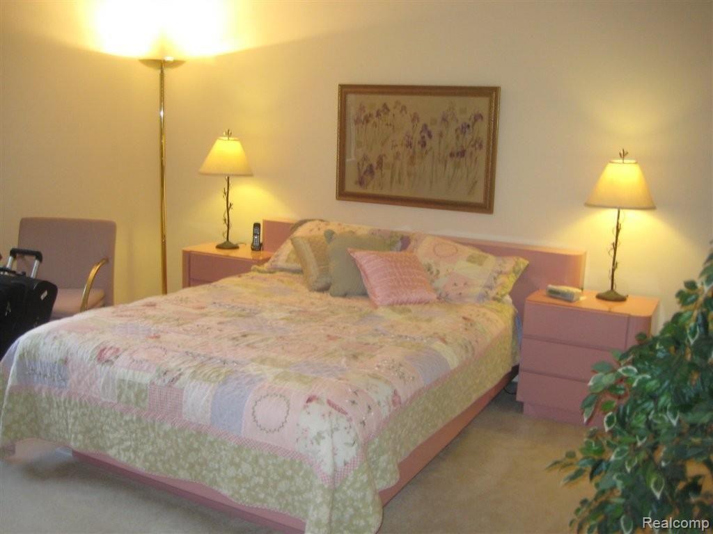 295 Arlington Drive Rochester, MI 48307 - Photo 6 of 20 Master BR