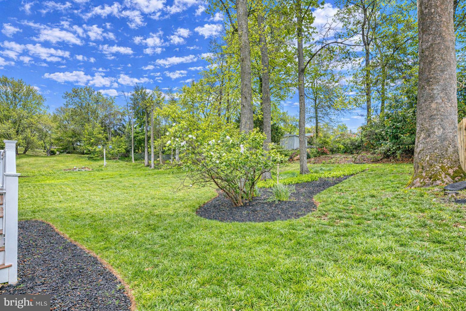 9405 Perglen Road Nottingham, MD 21236 - Photo 32 of 36 a view of a garden with a tree