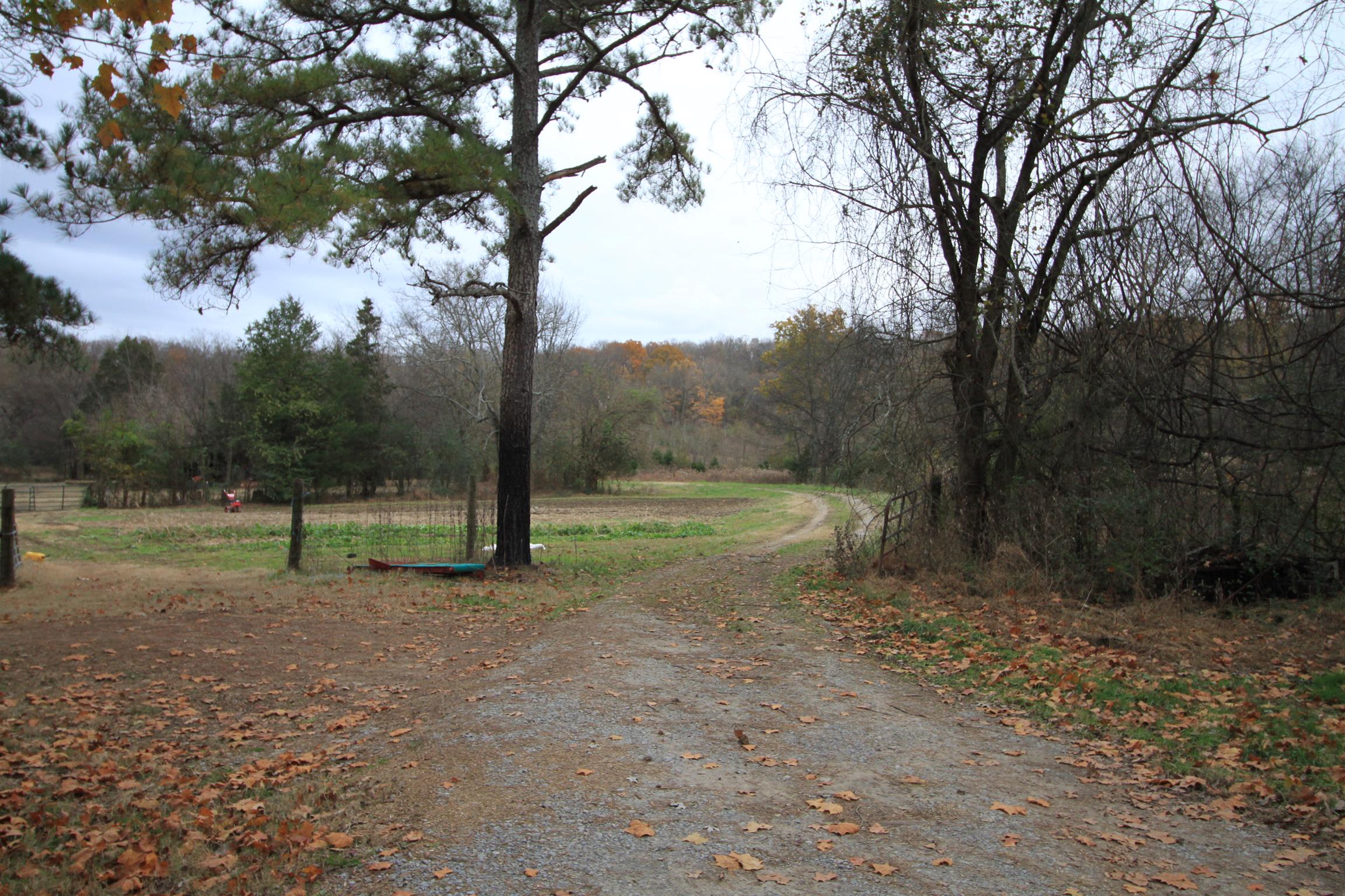 1805 Cairo Bend Road Lebanon, TN 37087 - Photo 1 of 28 Entry drive to the back of property behind the right corner of house and barns