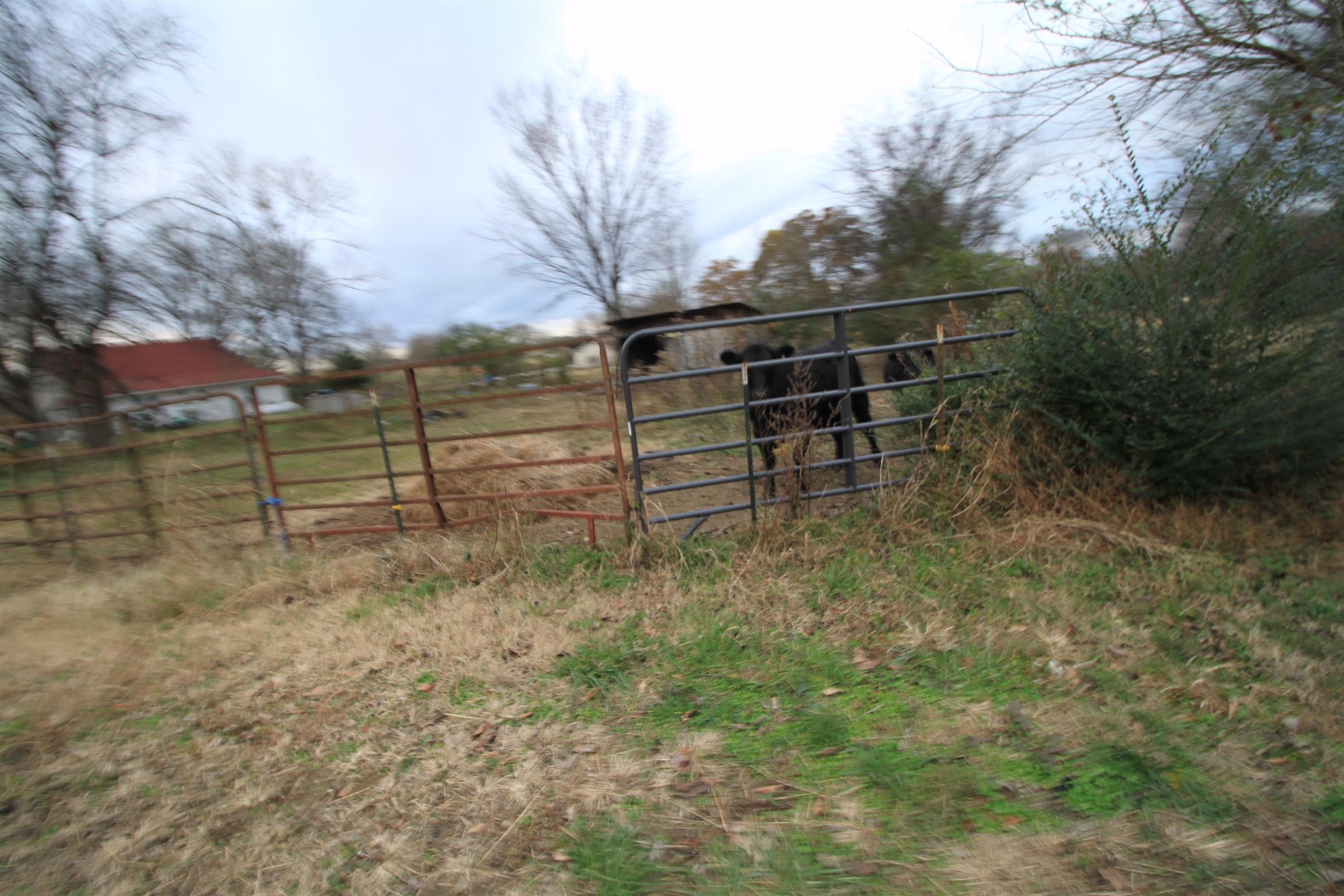 1805 Cairo Bend Road Lebanon, TN 37087 - Photo 14 of 28 Gallery Image 14