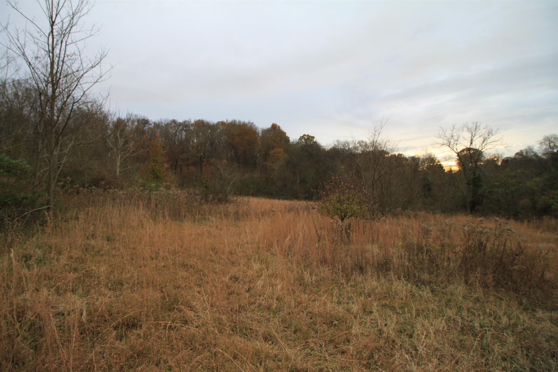 1805 Cairo Bend Road Lebanon, TN 37087 - Photo 19 of 28 Gallery Image 19