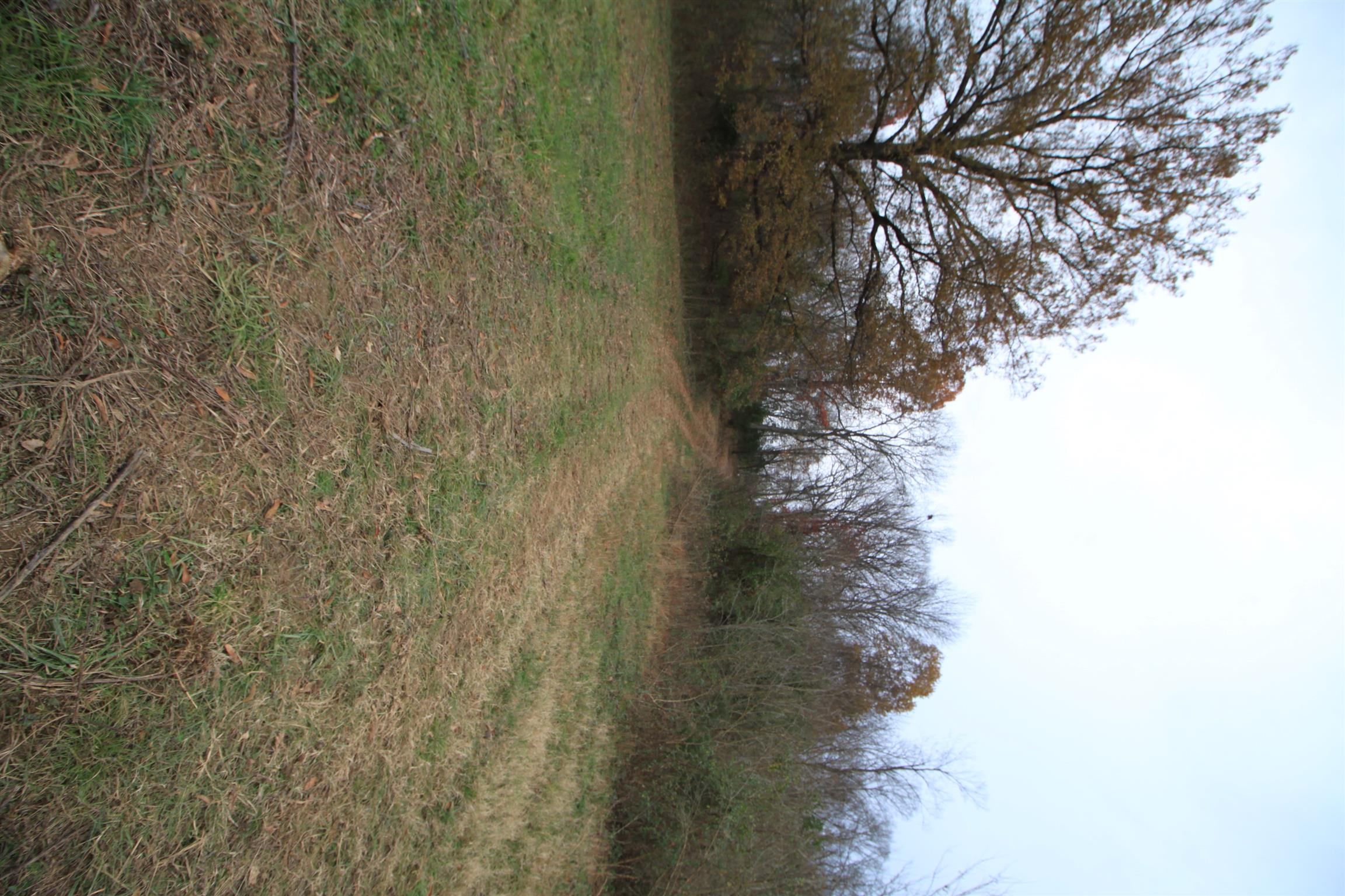 1805 Cairo Bend Road Lebanon, TN 37087 - Photo 23 of 28 Gallery Image 23