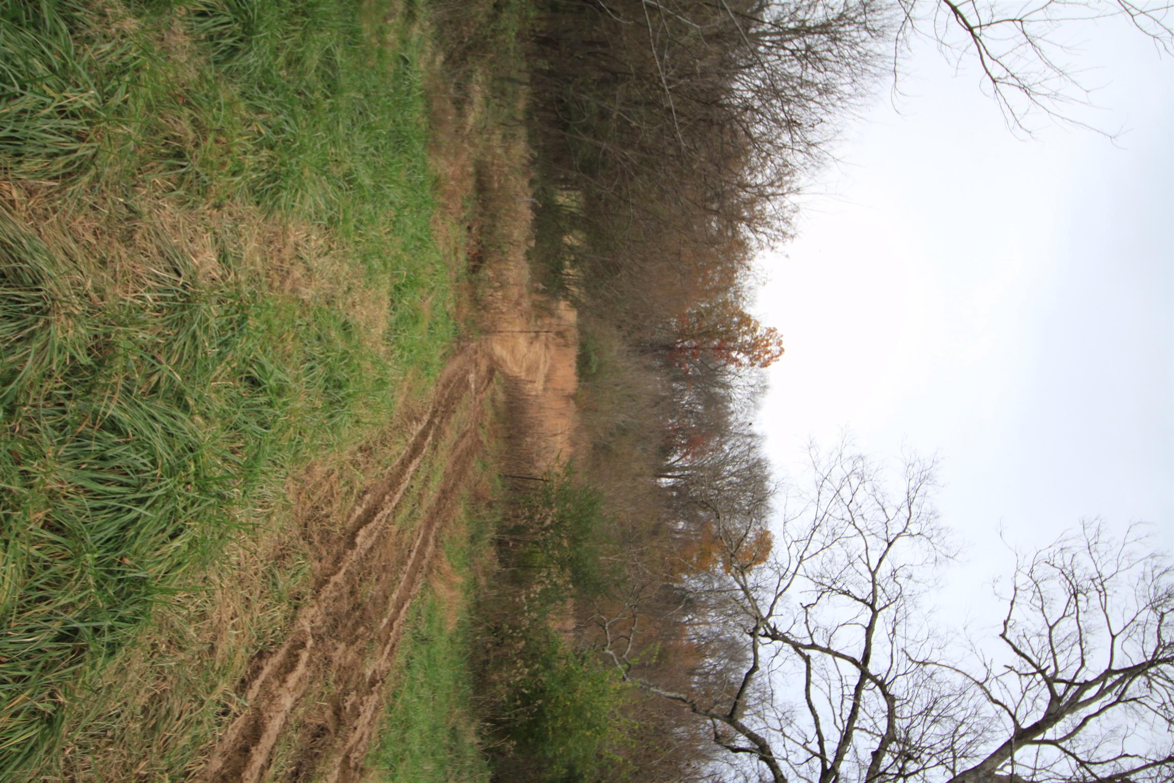1805 Cairo Bend Road Lebanon, TN 37087 - Photo 27 of 28 Gallery Image 27