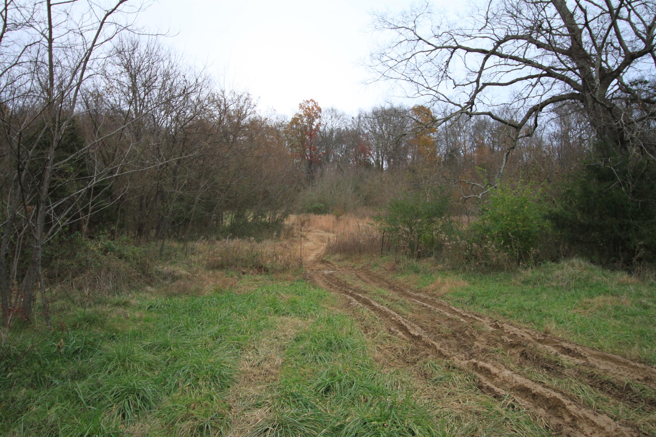 1805 Cairo Bend Road Lebanon, TN 37087 - Photo 28 of 28 Gallery Image 28
