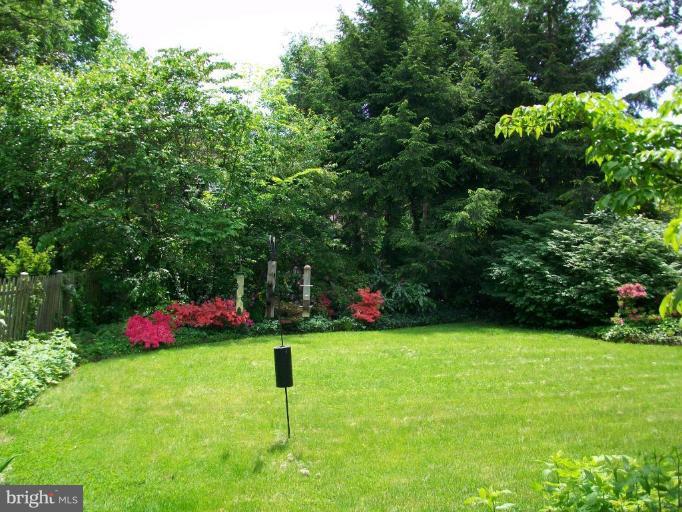 4011 Tennyson Road University Park, MD 20782 - Photo 4 of 26 Back yard