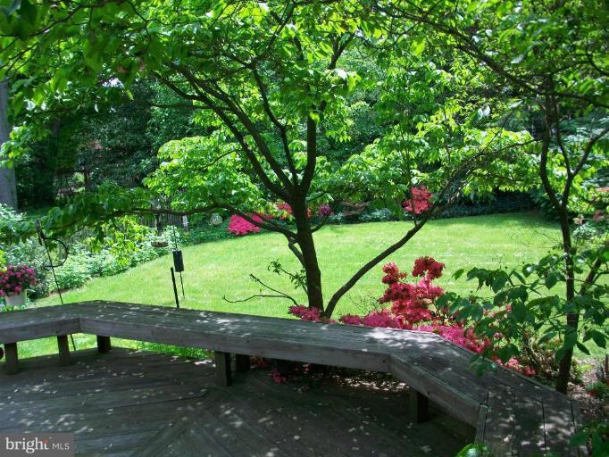 4011 Tennyson Road University Park, MD 20782 - Photo 5 of 26 Deck - View from