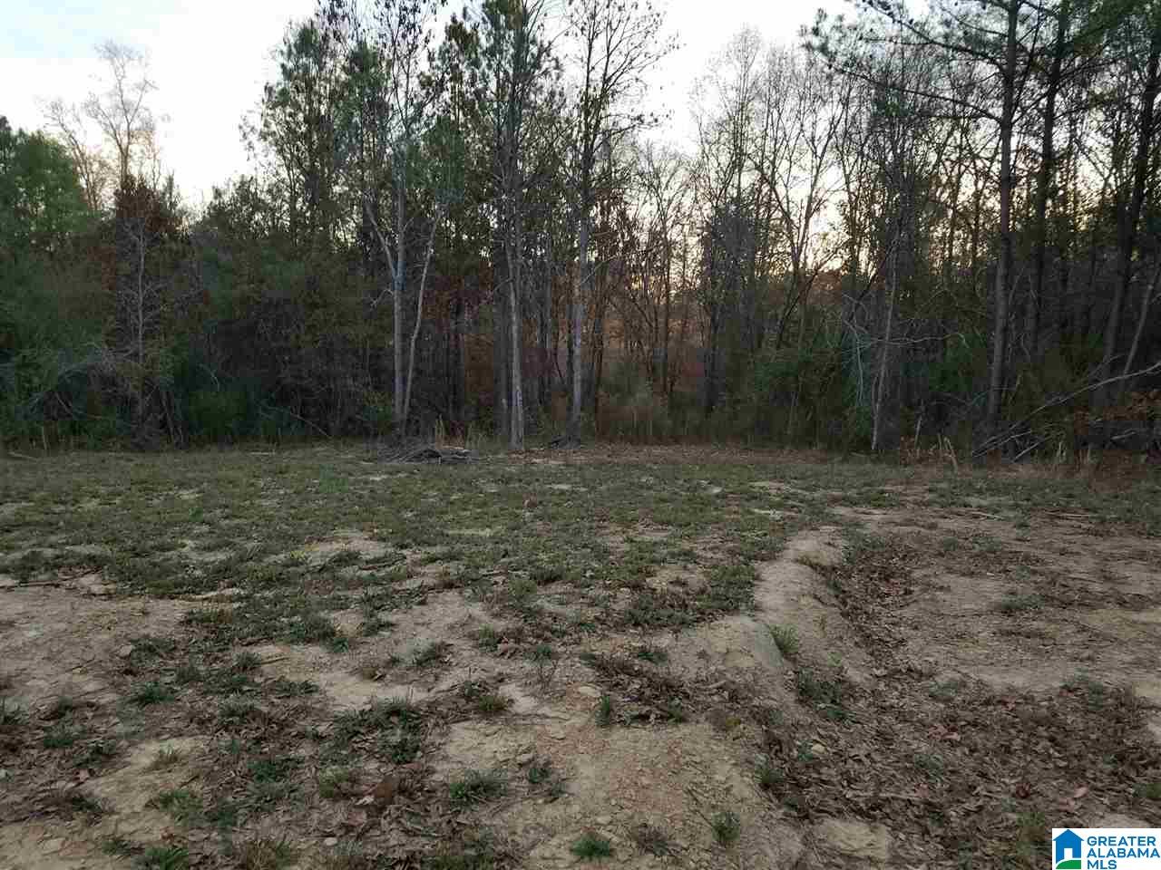 3663 Welcome Home Church Road Horton, AL 35980 - Photo 15 of 17