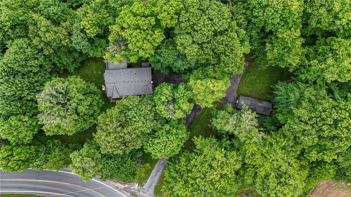 7242 Jackson Hill Road Arcadia, NY 14513 - Photo 35 of 39