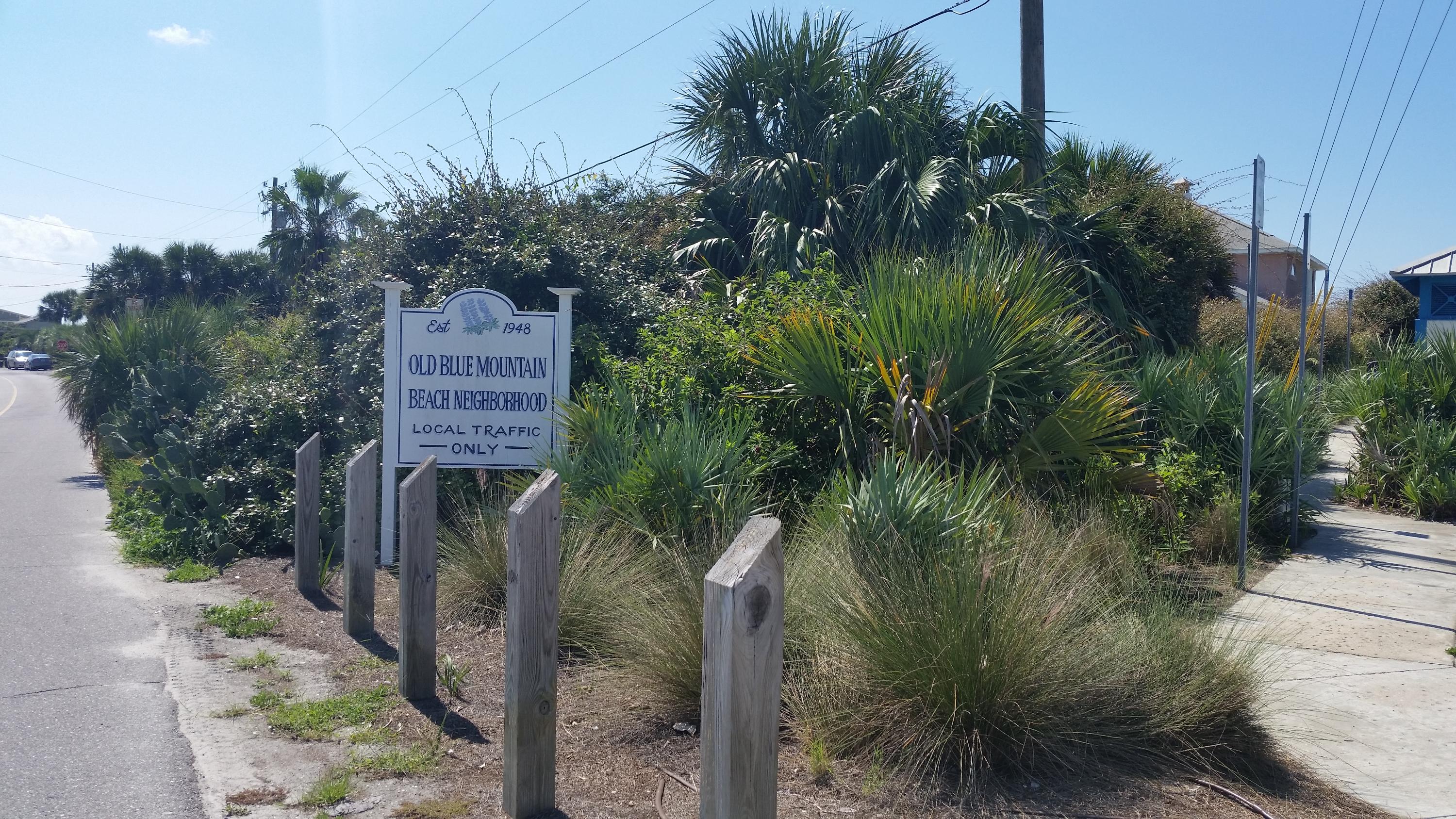 119 Gulfview Circle, Unit LOT 14 Santa Rosa Beach, FL 32459 - Photo 20 of 28 a picture of a yard
