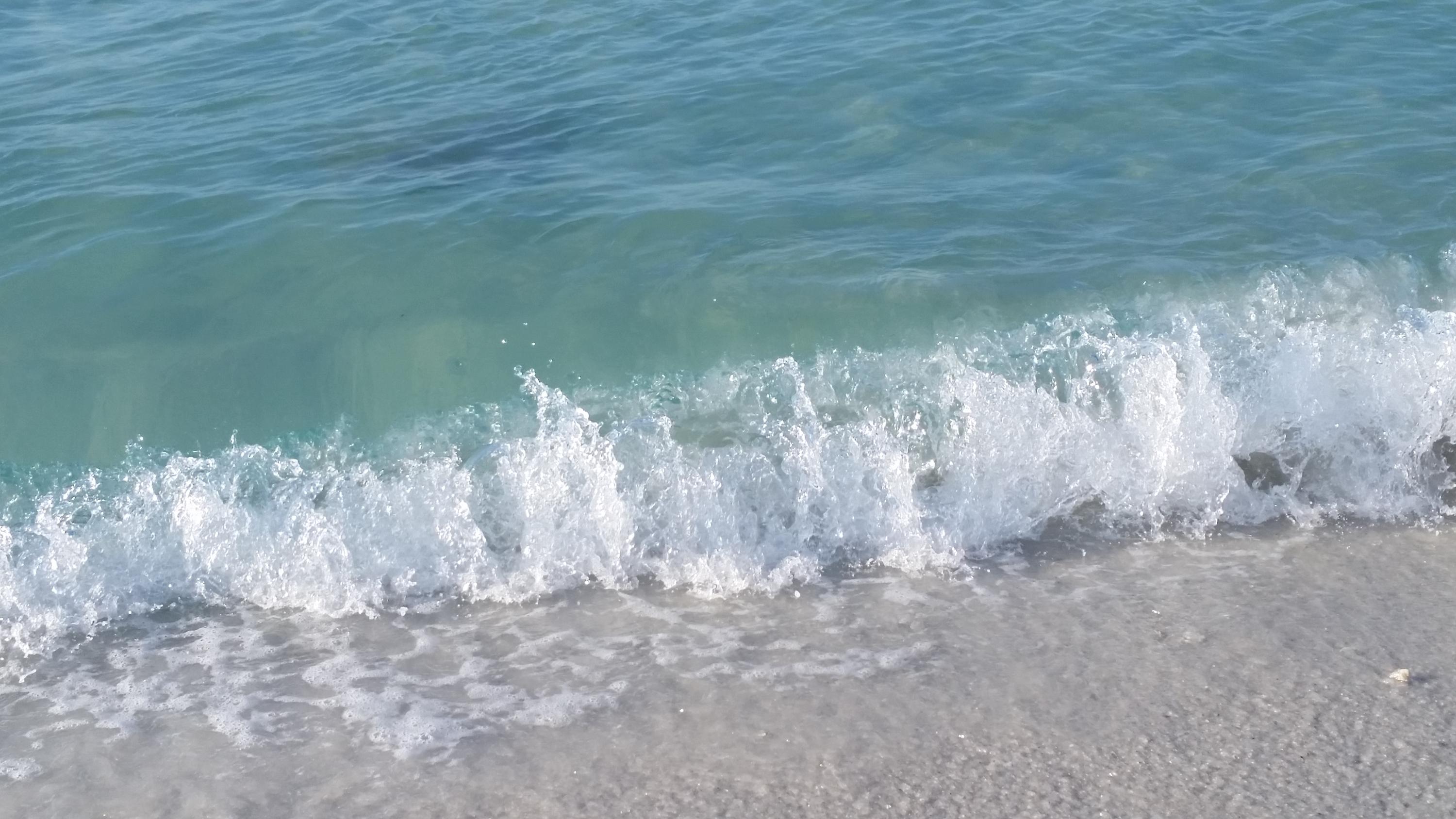 119 Gulfview Circle, Unit LOT 14 Santa Rosa Beach, FL 32459 - Photo 21 of 28 a close up of a table