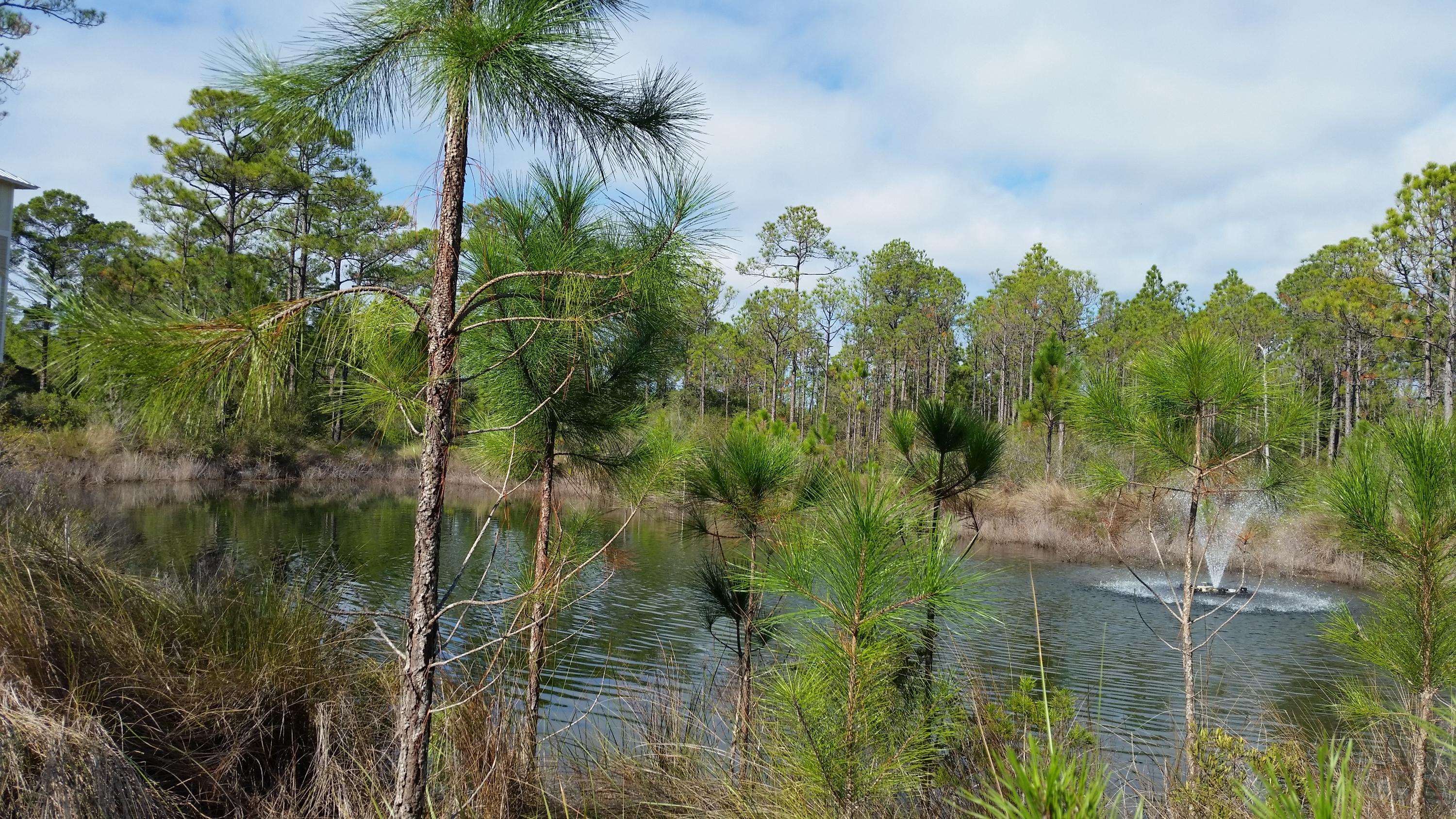 119 Gulfview Circle, Unit LOT 14 Santa Rosa Beach, FL 32459 - Photo 28 of 28 a view of a lake and a yard