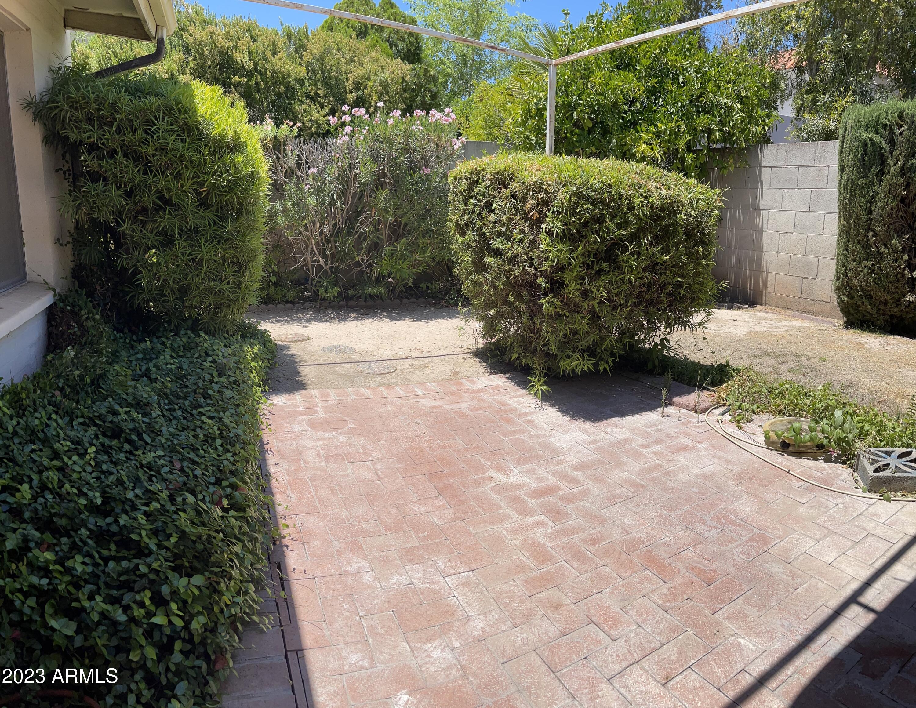 7738 East Chaparral Road Scottsdale, AZ 85250 - Photo 27 of 34 Backyard1