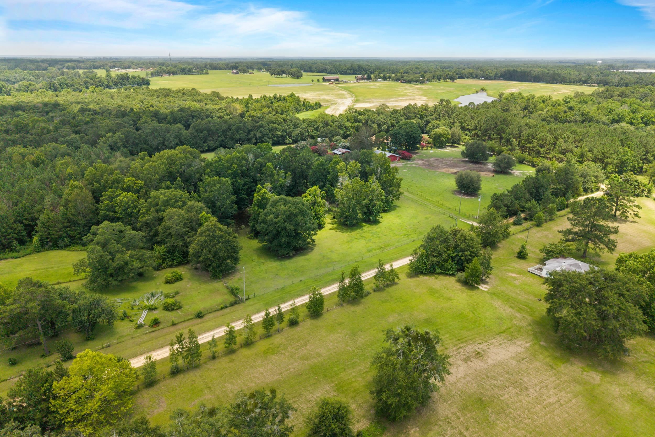 546 Backloop Road Havana, FL 32333 - Photo 62 of 67