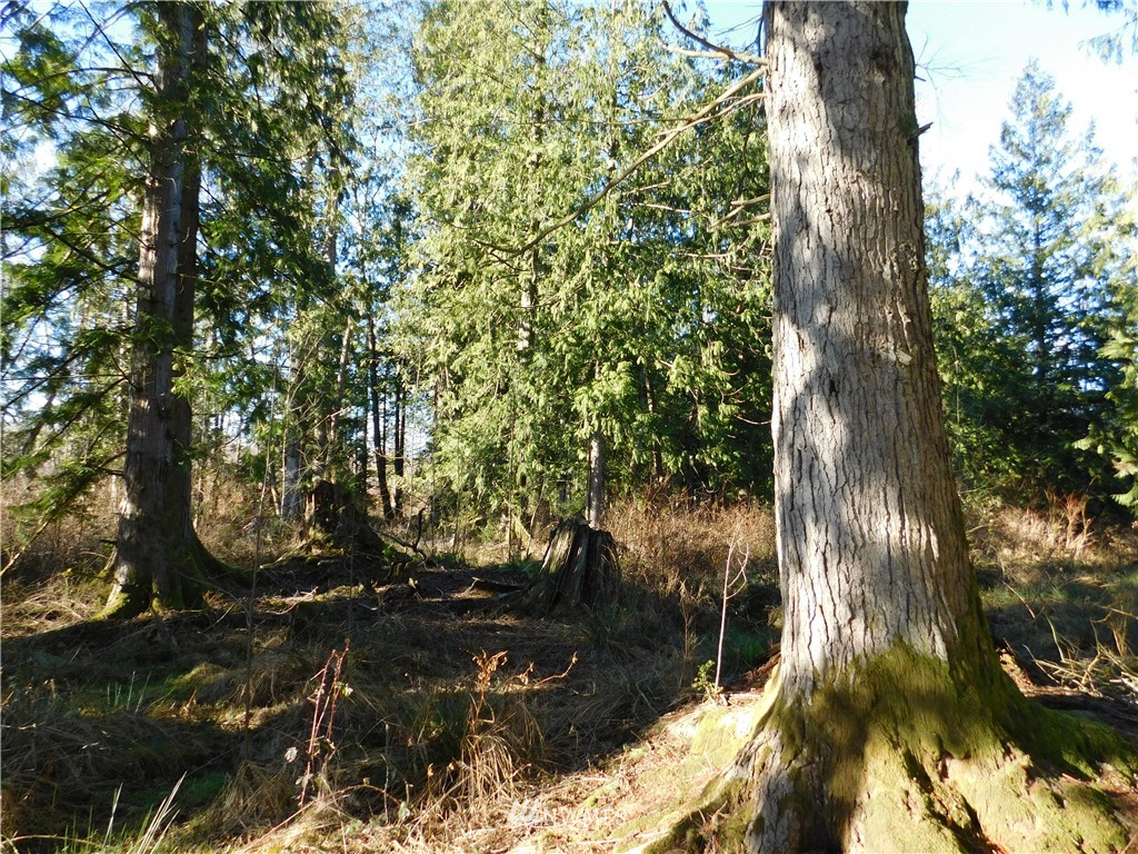 22272 Grip Road Sedro-Woolley, WA 98284 - Photo 19 of 24 Gallery Image 19