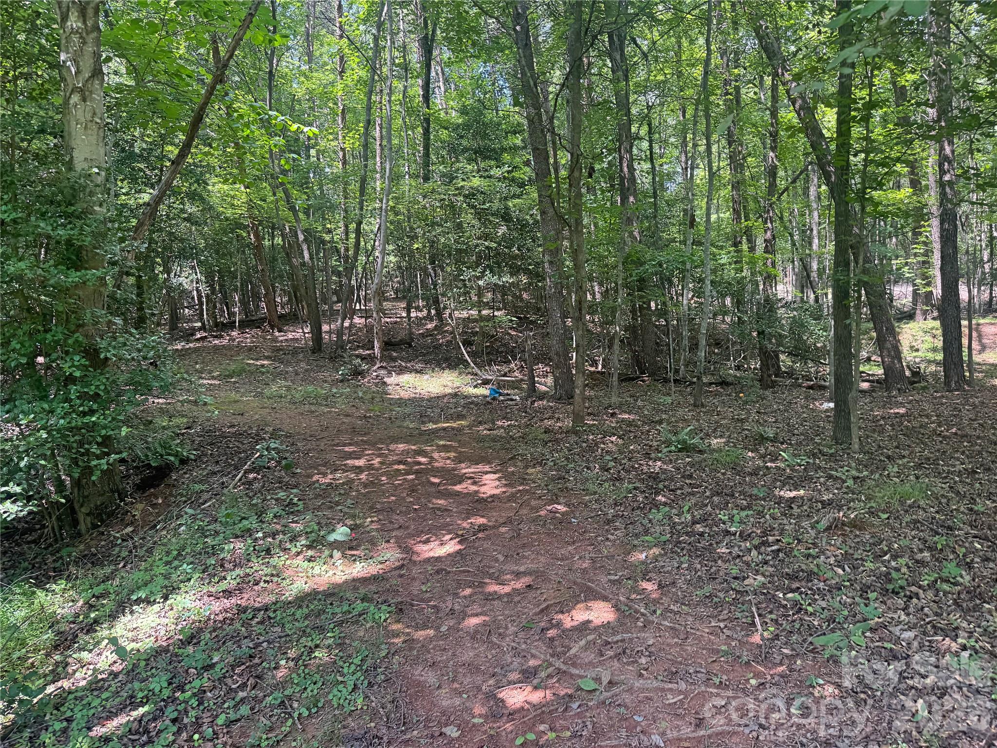 173 Croom Hollow Road Nebo, NC 28761 - Photo 38 of 44