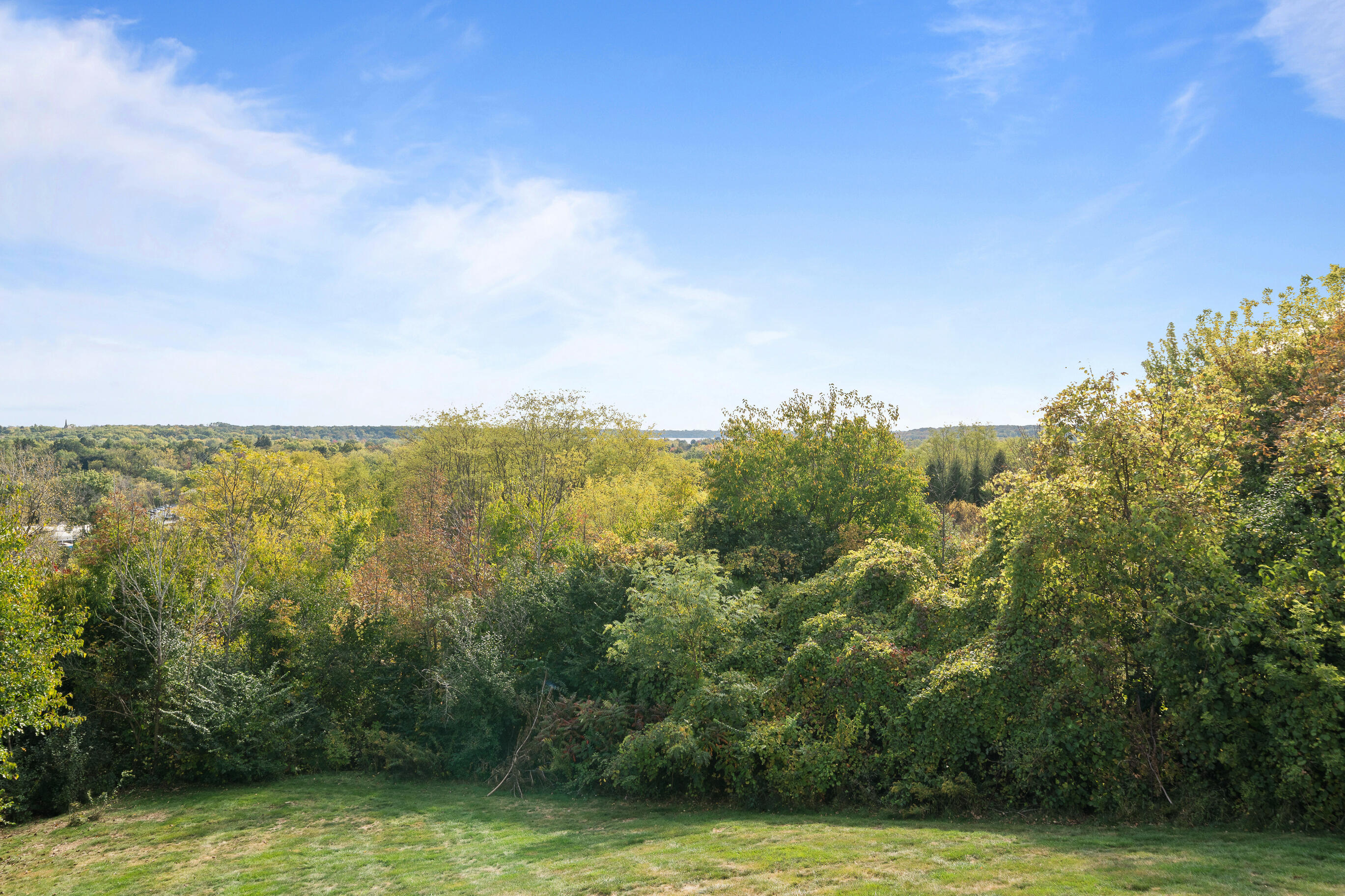 460 Stone Ridge Drive, Unit 480 Lake Geneva, WI 53147 - Photo 13 of 37 Wooded lot