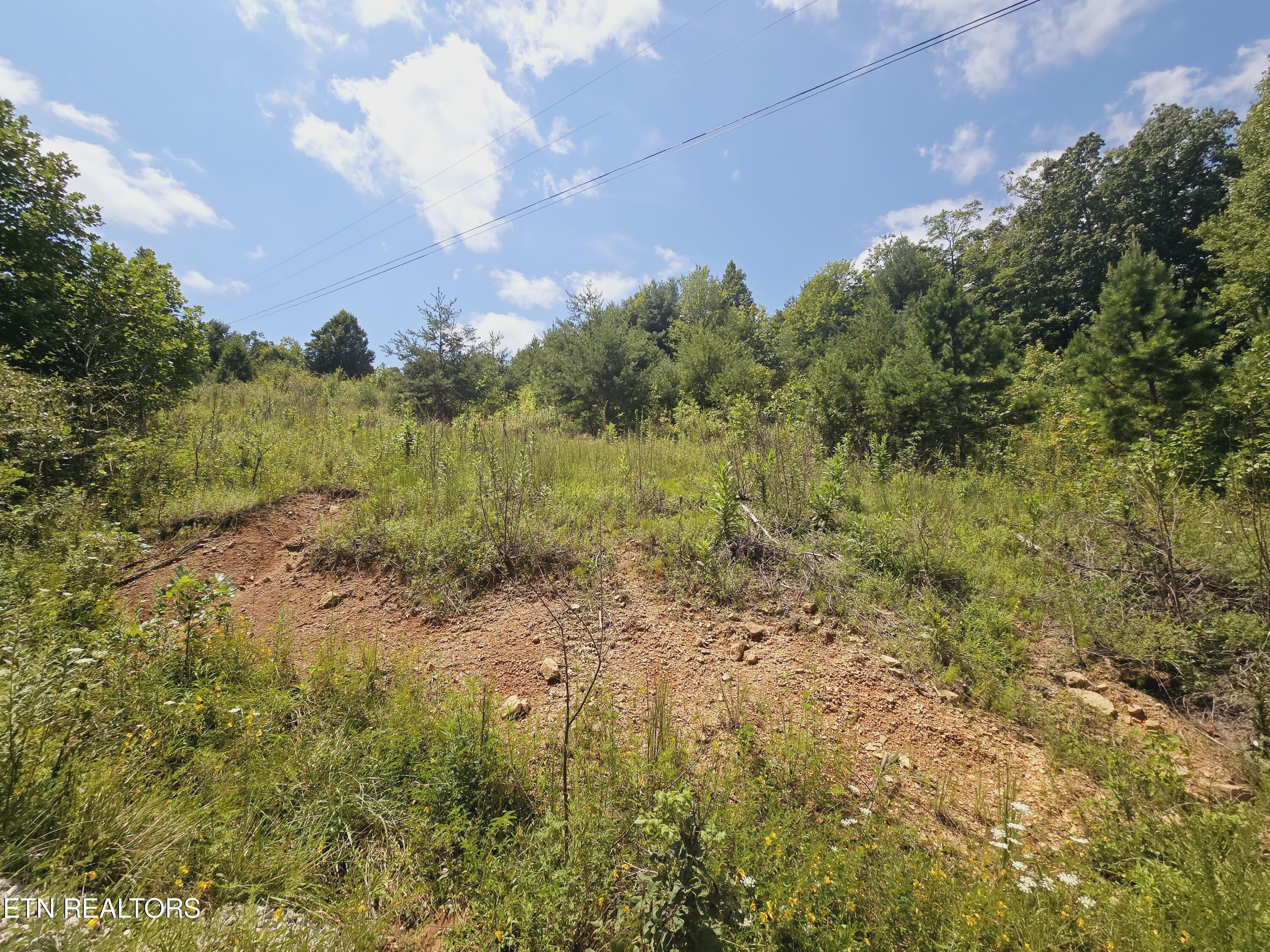 Echo Point Road Oneida, TN 37841 - Photo 1 of 5 20240810_132622