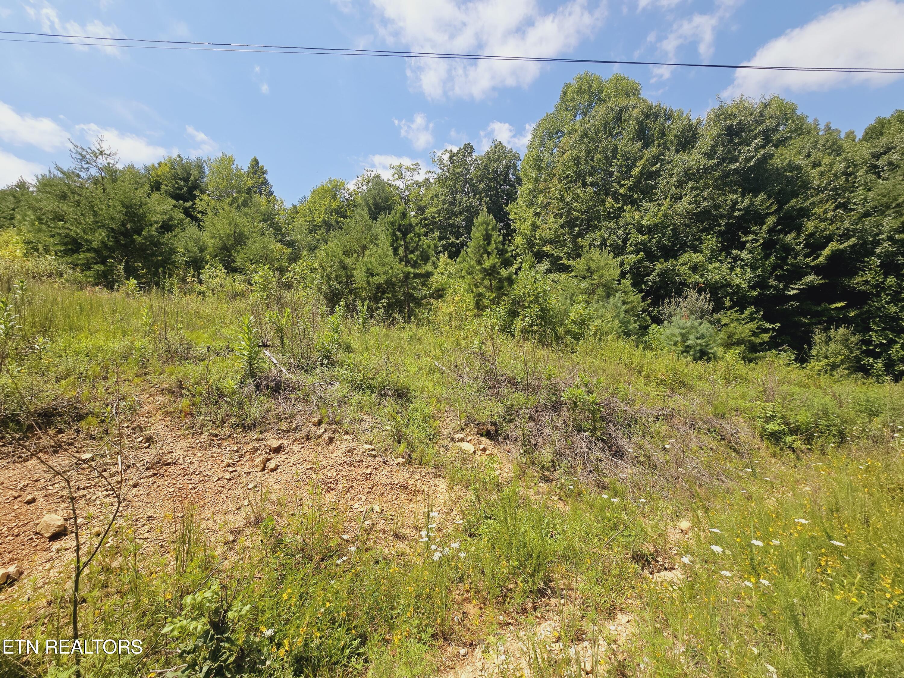 Echo Point Road Oneida, TN 37841 - Photo 3 of 5 20240810_132617