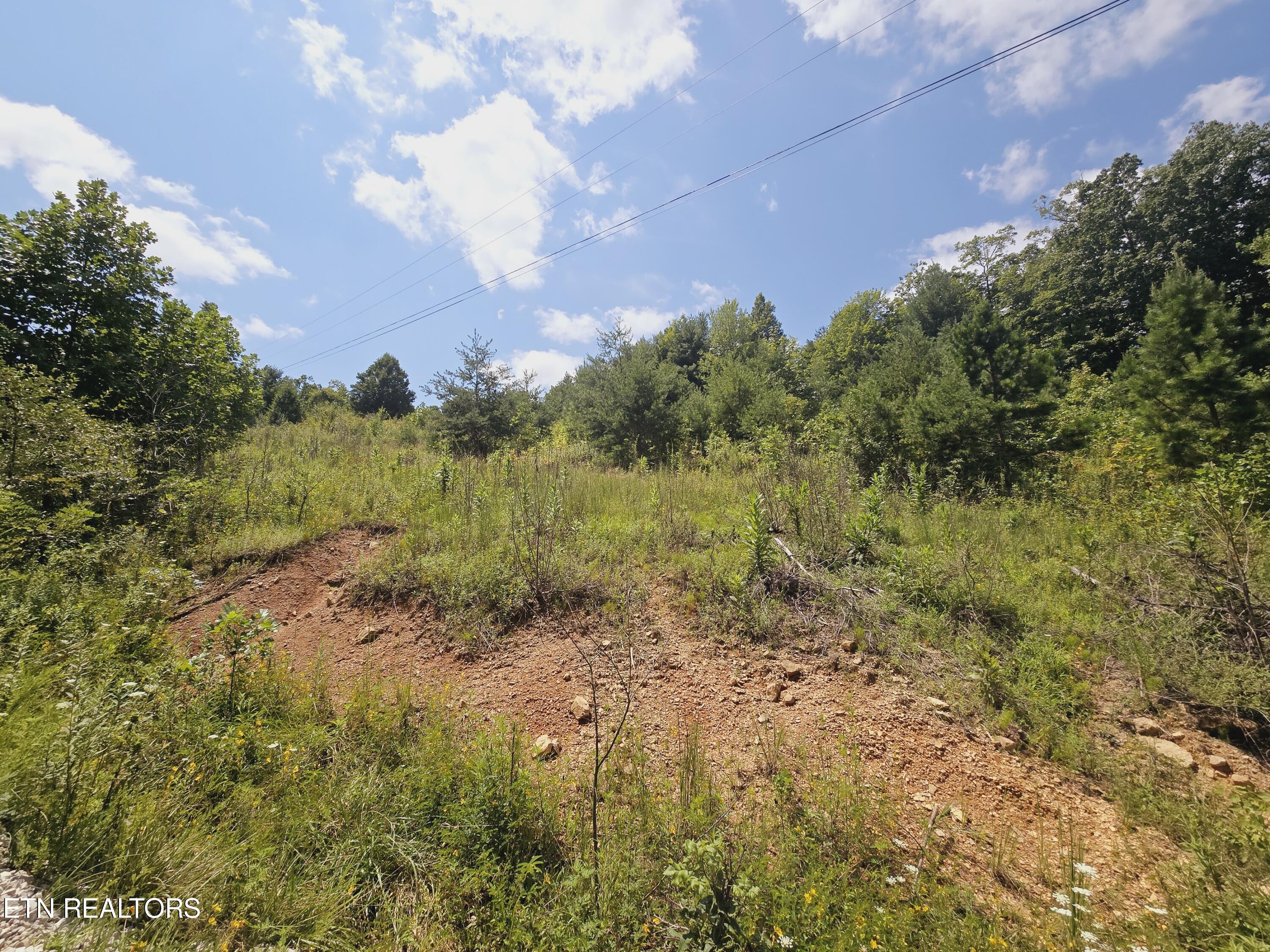 Echo Point Road Oneida, TN 37841 - Photo 4 of 5 20240810_132614