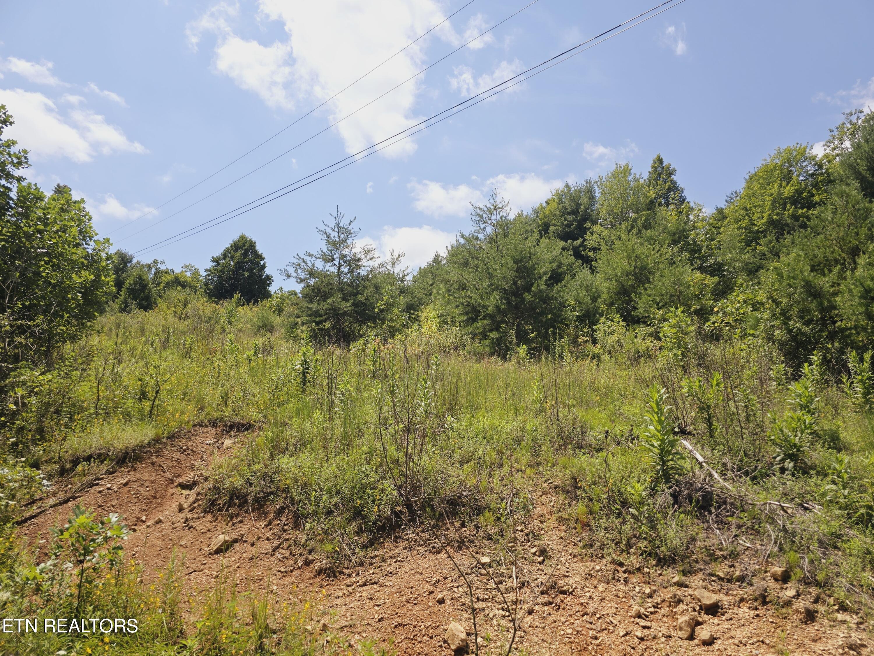 Echo Point Road Oneida, TN 37841 - Photo 5 of 5 20240810_132609