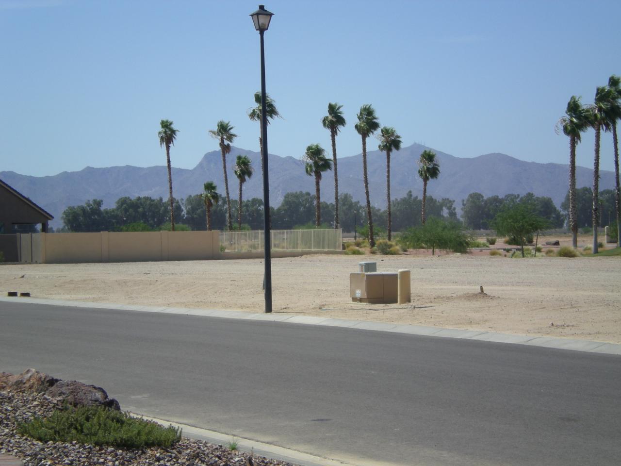 16551 West Berkeley Road, Unit 58 Goodyear, AZ 85395 - Photo 4 of 14 VIEW FROM THE FRONT ENTRANCE