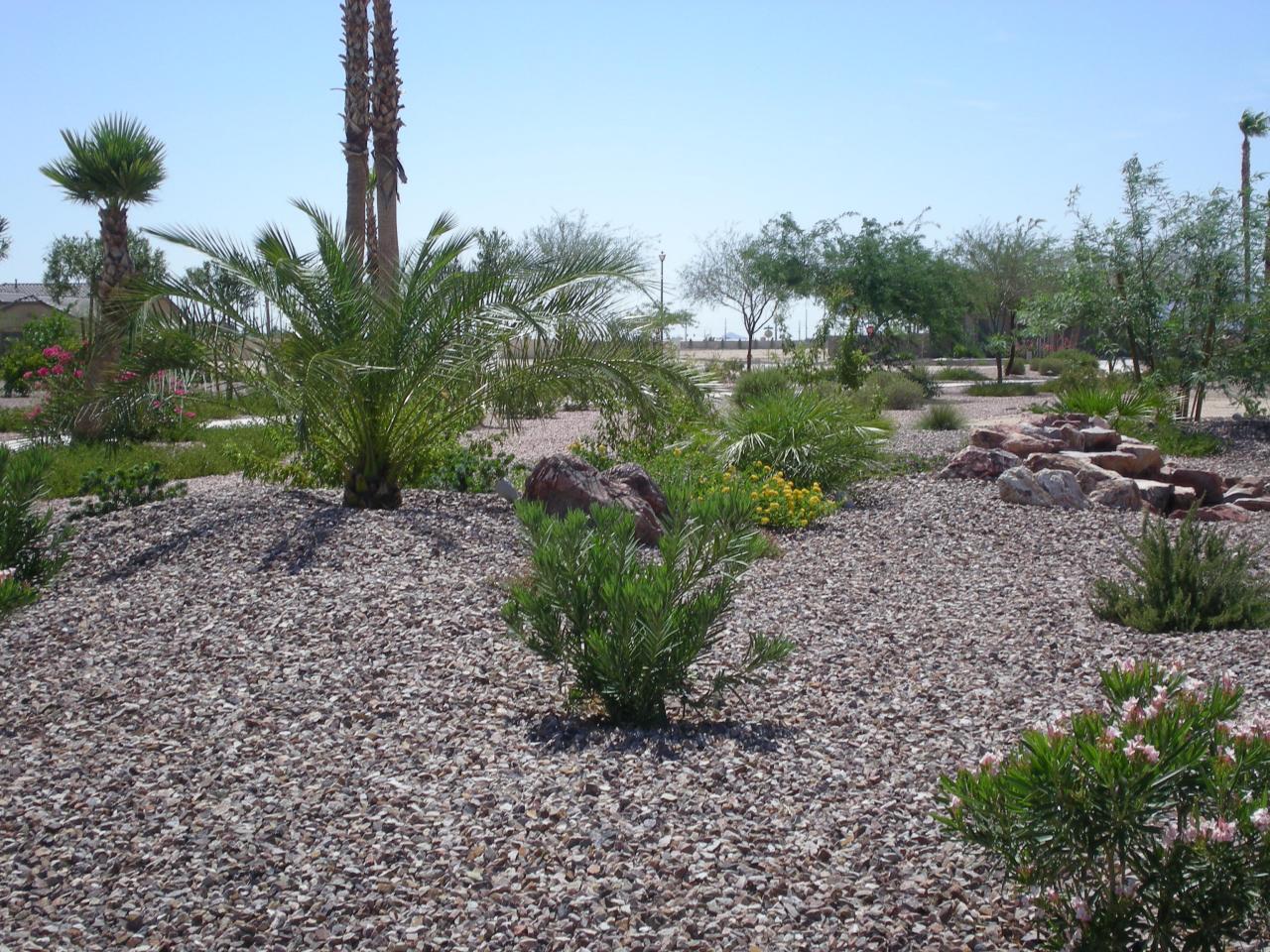 16551 West Berkeley Road, Unit 58 Goodyear, AZ 85395 - Photo 6 of 14 LARGE LOT WITH LUSH LANDSCAPE