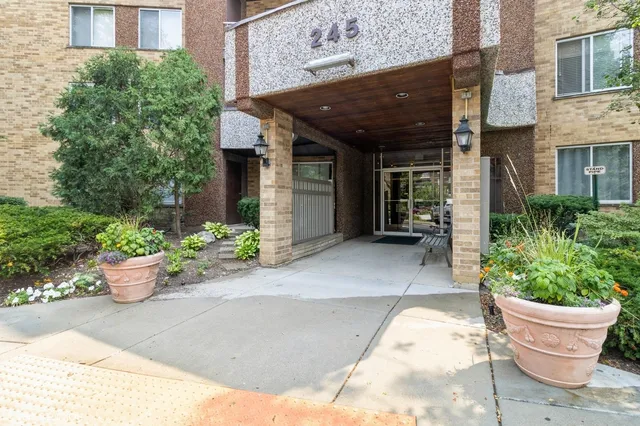 a view of a backyard with potted plants