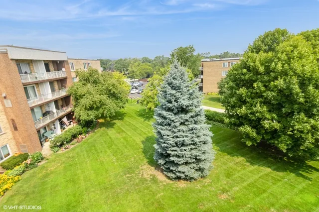 a view of a big yard with plants and large trees