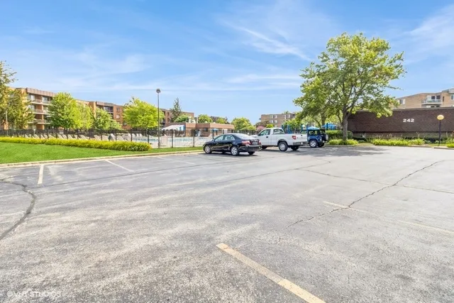 a view of a road with a yard and large trees