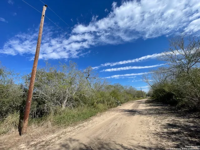 a view of a yard with an trees