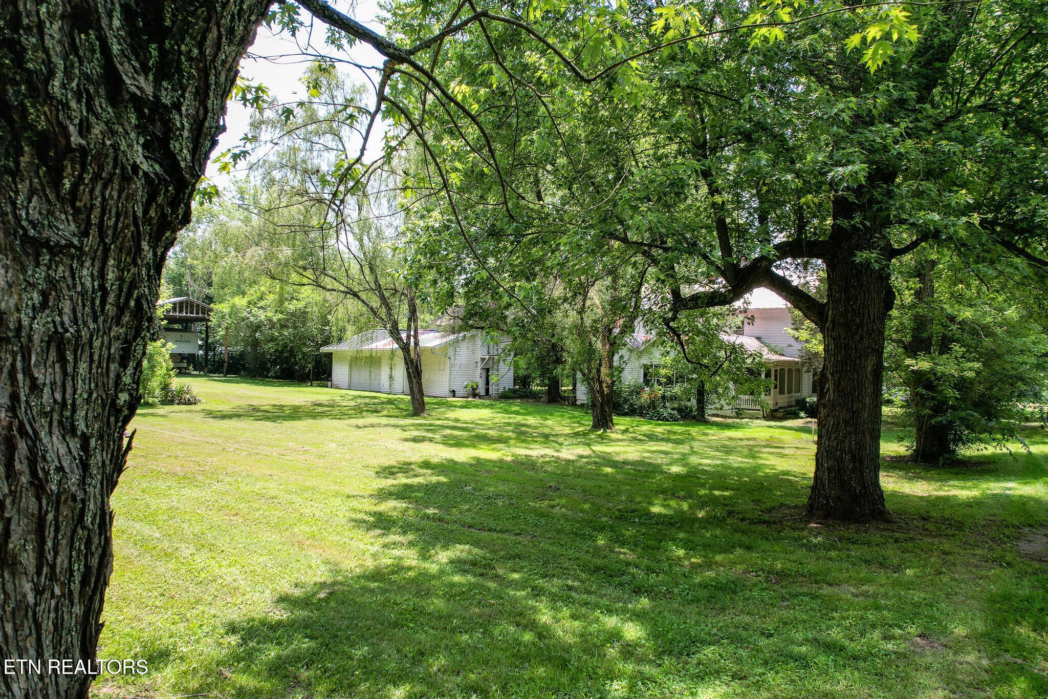 4245 Dulaney Road Greeneville, TN 37743 - Photo 37 of 39 DJI_0534